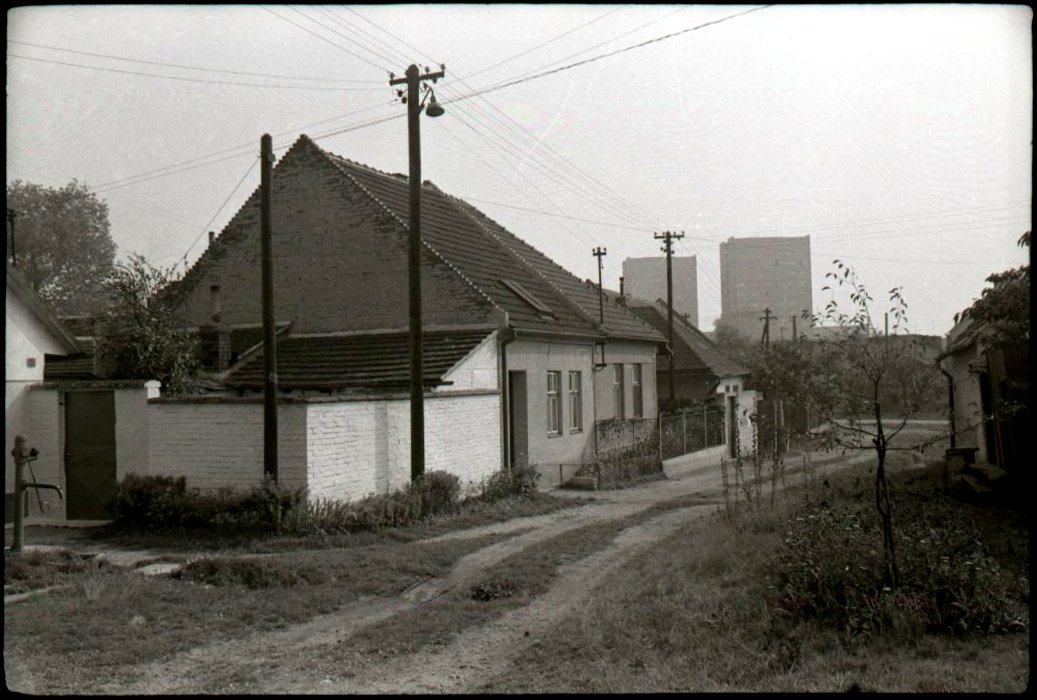 Chaloupky 7