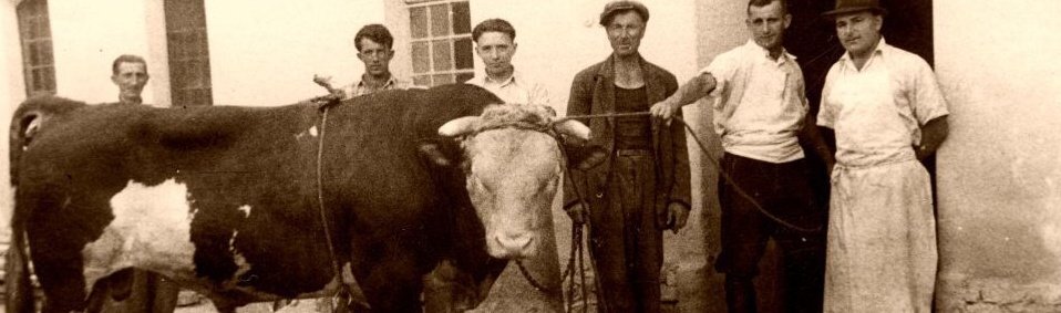 JATKA U HŘBITOVA